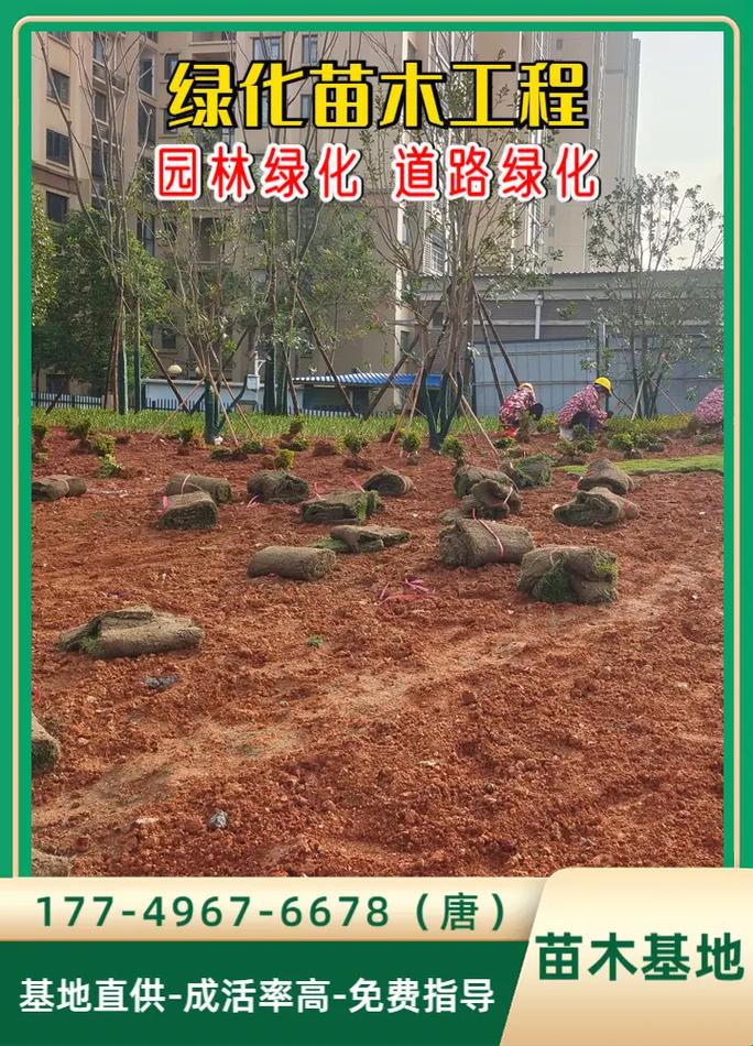 匠心铸绿 细致入微的园林绿化工程施工之道